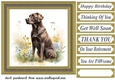 Floral Chocolate Labrador card front 9