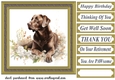 Floral Chocolate Labrador card front 10