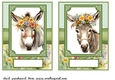 2 Floral donkey card fronts 5