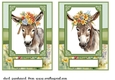 2 Floral donkey card fronts 9