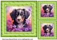 3 Floral pup card fronts/toppers 8