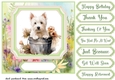 Cute floral Westie card front 3