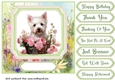 Cute floral Westie card front 8