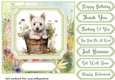 Cute floral Westie card front 10
