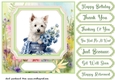 Cute floral Westie card front 13