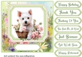 Cute floral Westie card front 16