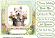 Cute floral Westie card front 19