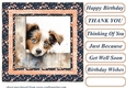 Pup looking over fence card front 3