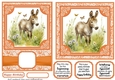 6x6 and 5x7 Orange floral donkey card fronts 4