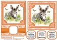 6x6 and 5x7 Orange floral donkey card fronts 5