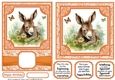 6x6 and 5x7 Orange floral donkey card fronts 6