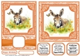 6x6 and 5x7 Orange floral donkey card fronts 7