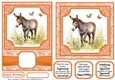 6x6 and 5x7 Orange floral donkey card fronts 9