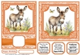 6x6 and 5x7 Orange floral donkey card fronts 10
