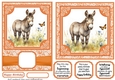 6x6 and 5x7 Orange floral donkey card fronts 11