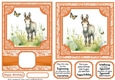 6x6 and 5x7 Orange floral donkey card fronts 12