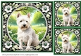 3 Floral Westie card fronts/toppers 4