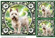 3 Floral Westie card fronts/toppers 9