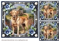 3 Floral framed Labrador card fronts/toppers 2