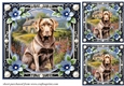 3 Floral framed Labrador card fronts/toppers 5
