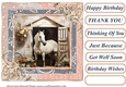 Framed white horse card front 2