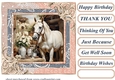 Framed white horse card front 5