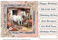Framed white horse card front 7