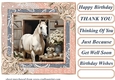 Framed white horse card front 8