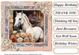 Framed white horse card front 9