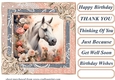 Framed white horse card front 10