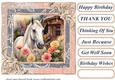 Framed white horse card front 11