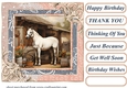 Framed white horse card front 12