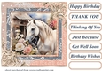 Framed white horse card front 13