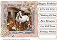 Framed white horse card front 14