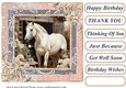 Framed white horse card front 16