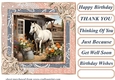 Framed white horse card front 17