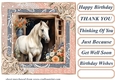 Framed white horse card front 18