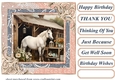 Framed white horse card front 19
