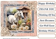 Framed white horse card front 20