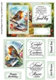 Robin in the garden card front 2