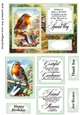 Robin in the garden card front 3