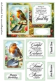Robin in the garden card front 4