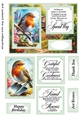 Robin in the garden card front 5