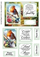 Robin in the garden card front 6