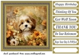 Floral puppy card front 2