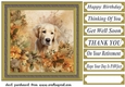Floral puppy card front 5