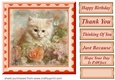 Peach floral kitten card front 2