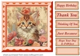 Peach floral kitten card front 3