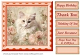 Peach floral kitten card front 4
