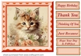 Peach floral kitten card front 8